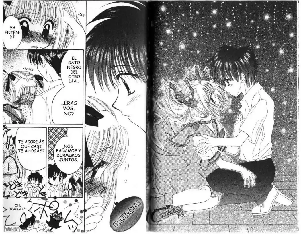 Tokyo Mew Mew (Mew Mew Power) (2000) - Capítulo 22 - Página 15 - LectorTMOo