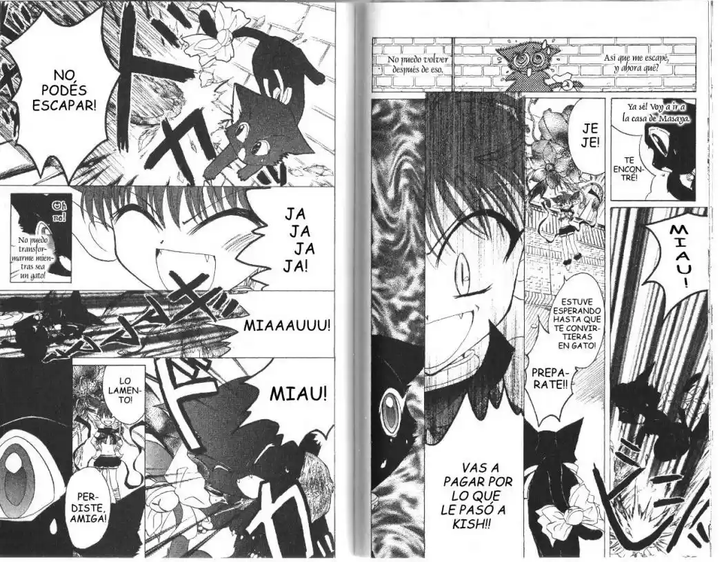 Tokyo Mew Mew (Mew Mew Power) (2000) - Capítulo 22 - Página 17 - LectorTMOo