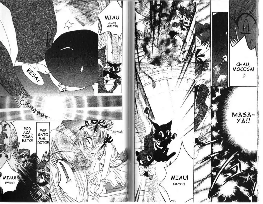 Tokyo Mew Mew (Mew Mew Power) (2000) - Capítulo 22 - Página 18 - LectorTMOo
