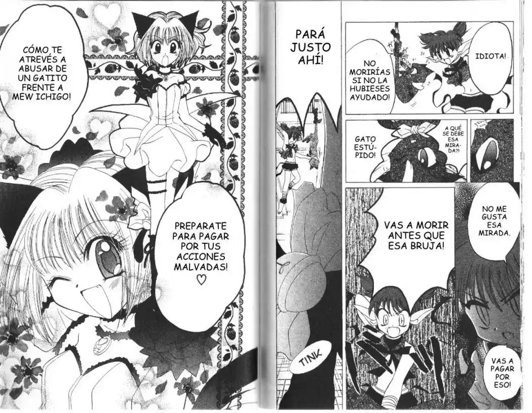 Tokyo Mew Mew (Mew Mew Power) (2000) - Capítulo 22 - Página 19 - LectorTMOo