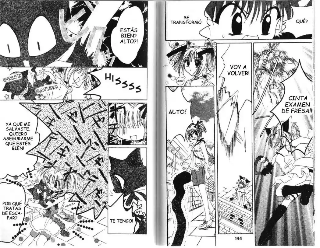 Tokyo Mew Mew (Mew Mew Power) (2000) - Capítulo 22 - Página 20 - LectorTMOo