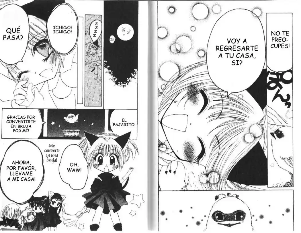 Tokyo Mew Mew (Mew Mew Power) (2000) - Capítulo 23 - Página 14 - LectorTMOo