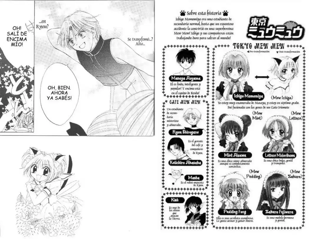 Tokyo Mew Mew (Mew Mew Power) (2000) - Capítulo 24 - Página 4 - LectorTMOo