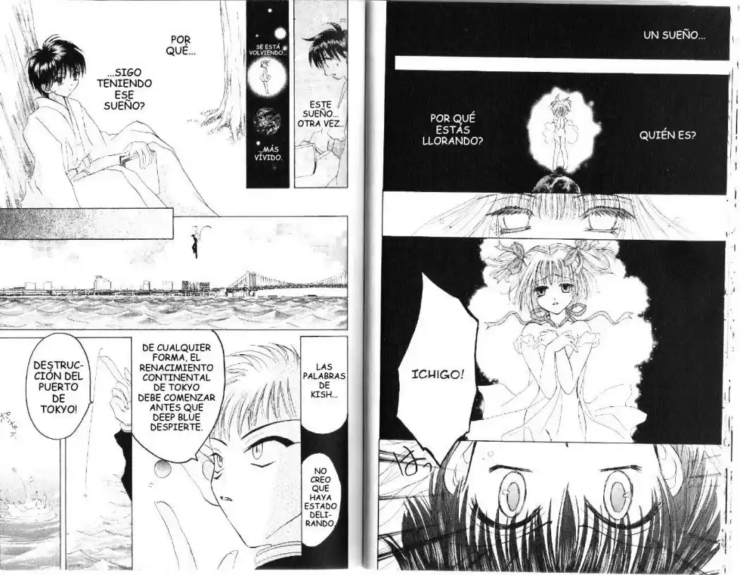 Tokyo Mew Mew (Mew Mew Power) (2000) - Capítulo 24 - Página 12 - LectorTMOo