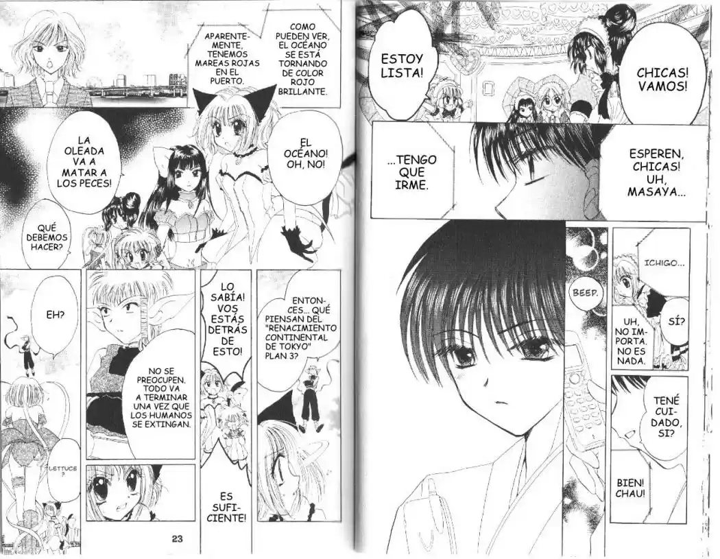 Tokyo Mew Mew (Mew Mew Power) (2000) - Capítulo 24 - Página 14 - LectorTMOo