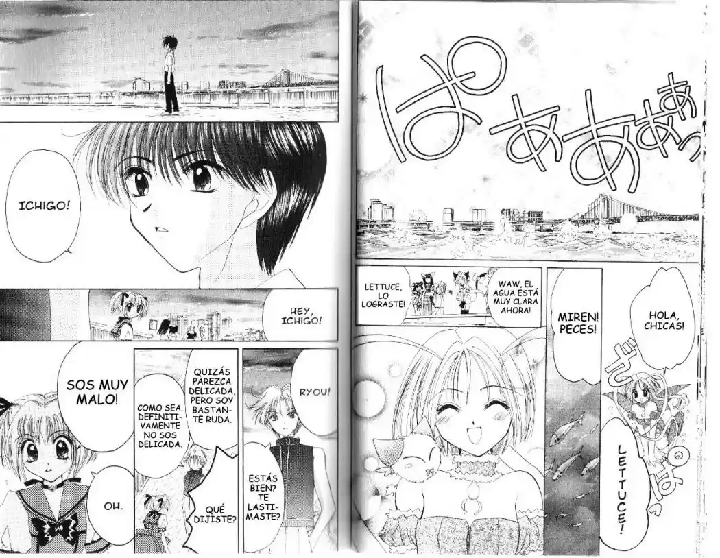 Tokyo Mew Mew (Mew Mew Power) (2000) - Capítulo 24 - Página 20 - LectorTMOo