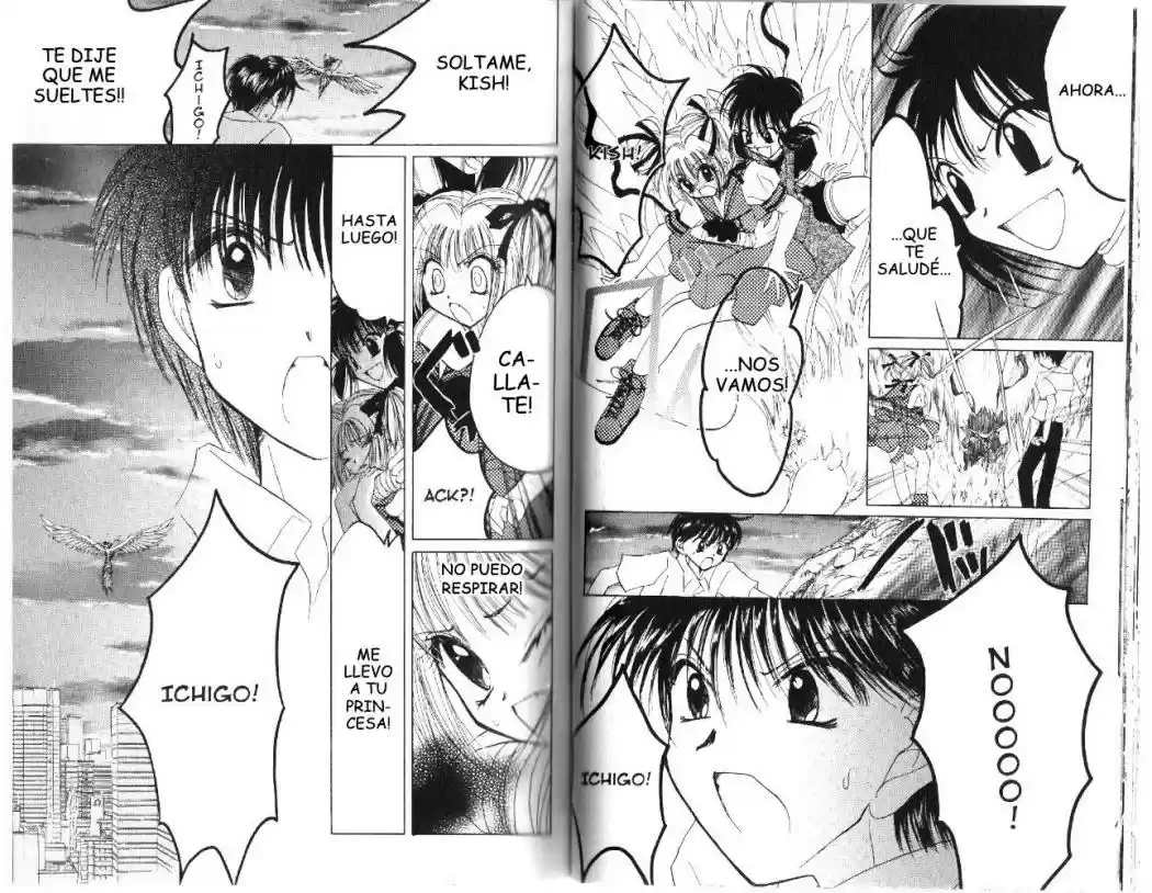 Tokyo Mew Mew (Mew Mew Power) (2000) - Capítulo 25 - Página 4 - LectorTMOo