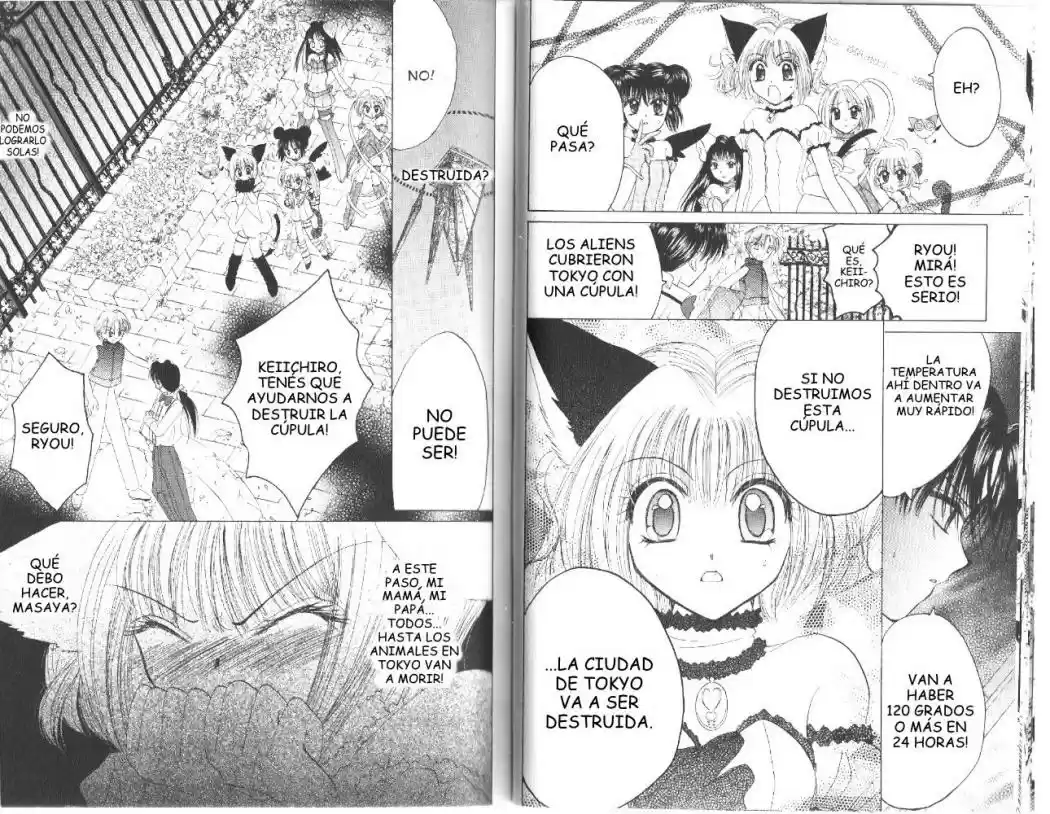 Tokyo Mew Mew (Mew Mew Power) (2000) - Capítulo 25 - Página 16 - LectorTMOo