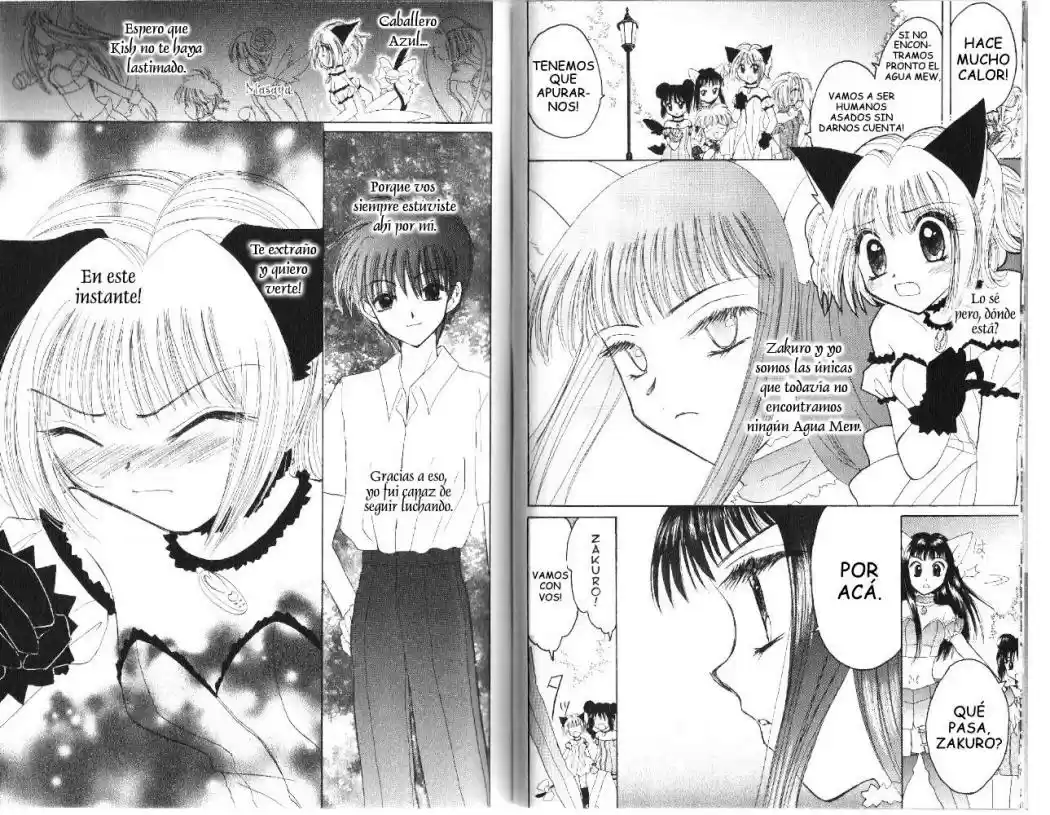 Tokyo Mew Mew (Mew Mew Power) (2000) - Capítulo 26 - Página 5 - LectorTMOo