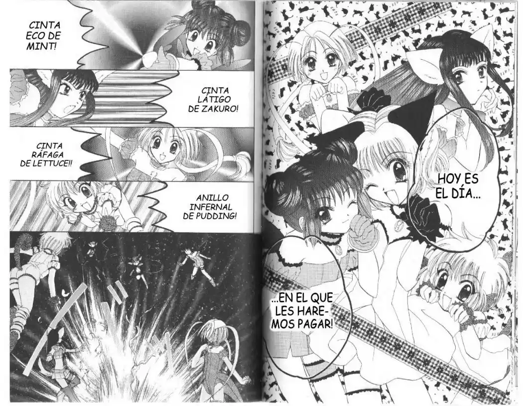 Tokyo Mew Mew (Mew Mew Power) (2000) - Capítulo 26 - Página 10 - LectorTMOo