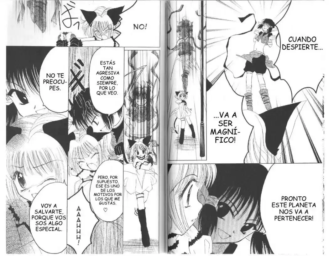 Tokyo Mew Mew (Mew Mew Power) (2000) - Capítulo 26 - Página 12 - LectorTMOo