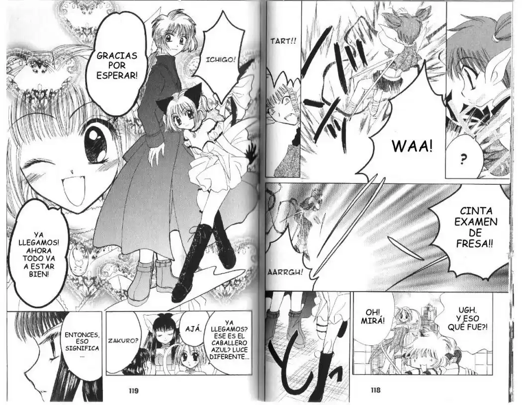 Tokyo Mew Mew (Mew Mew Power) (2000) - Capítulo 27 - Página 4 - LectorTMOo