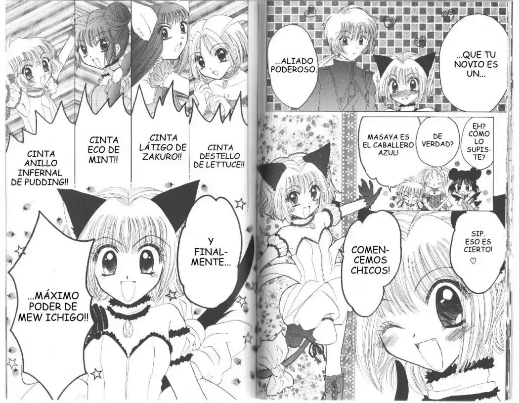 Tokyo Mew Mew (Mew Mew Power) (2000) - Capítulo 27 - Página 5 - LectorTMOo