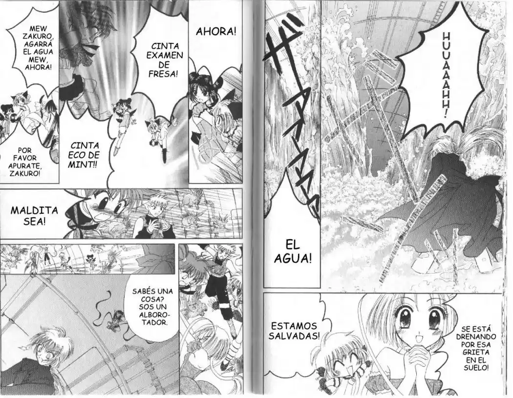 Tokyo Mew Mew (Mew Mew Power) (2000) - Capítulo 27 - Página 11 - LectorTMOo