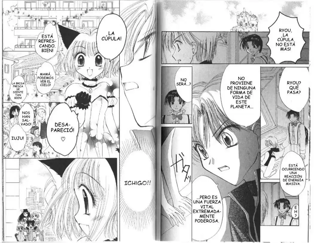 Tokyo Mew Mew (Mew Mew Power) (2000) - Capítulo 27 - Página 14 - LectorTMOo
