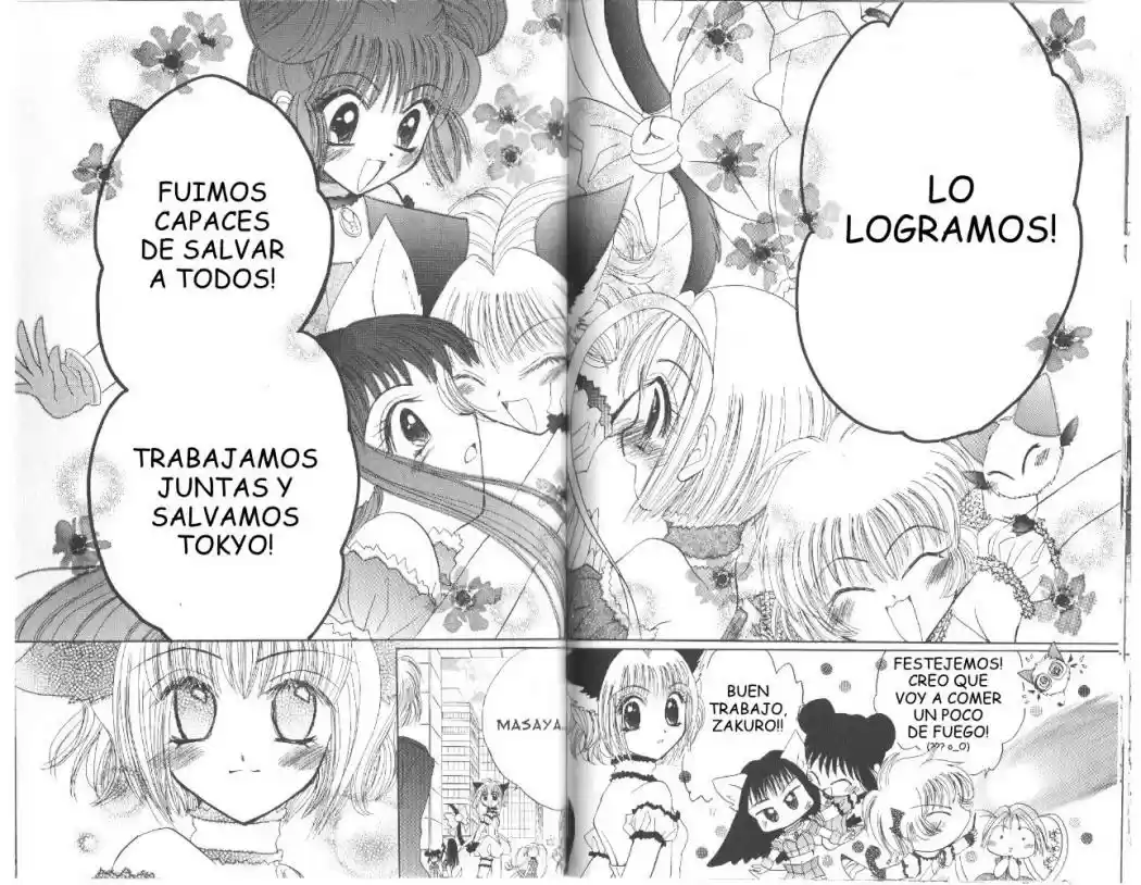 Tokyo Mew Mew (Mew Mew Power) (2000) - Capítulo 27 - Página 15 - LectorTMOo