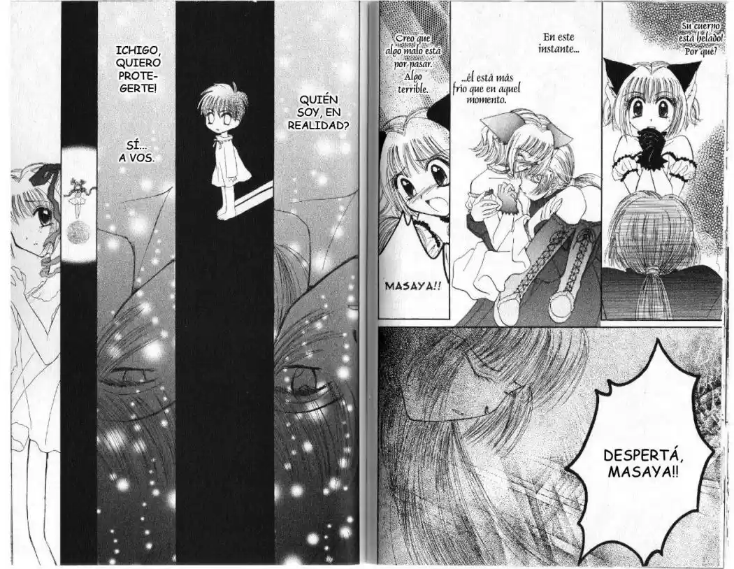 Tokyo Mew Mew (Mew Mew Power) (2000) - Capítulo 27 - Página 17 - LectorTMOo