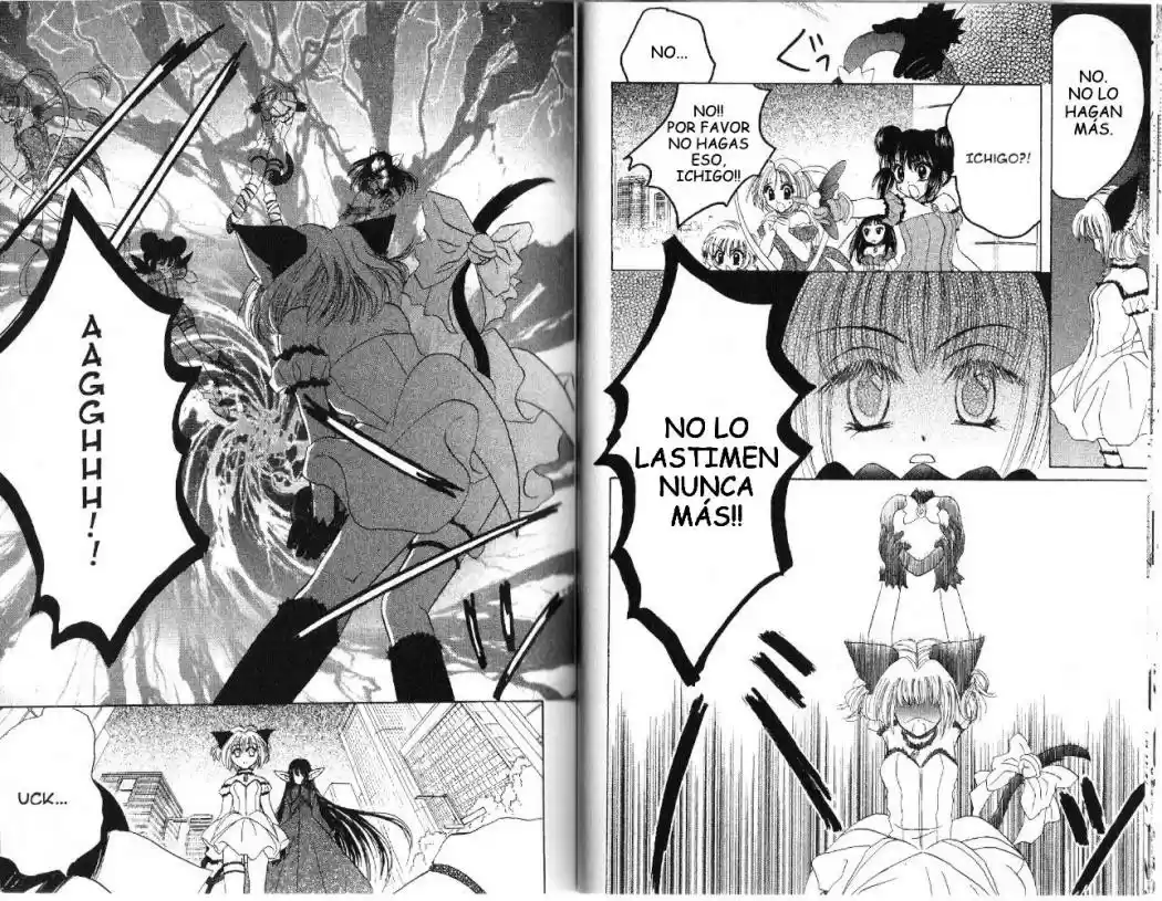 Tokyo Mew Mew (Mew Mew Power) (2000) - Capítulo 29 - Página 12 - LectorTMOo