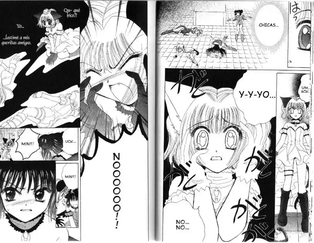 Tokyo Mew Mew (Mew Mew Power) (2000) - Capítulo 29 - Página 13 - LectorTMOo