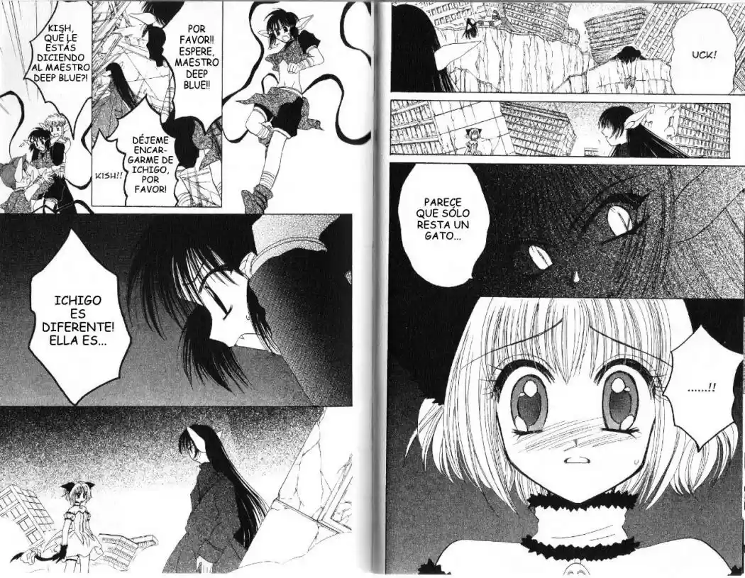 Tokyo Mew Mew (Mew Mew Power) (2000) - Capítulo 29 - Página 17 - LectorTMOo