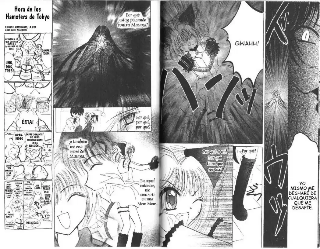 Tokyo Mew Mew (Mew Mew Power) (2000) - Capítulo 29 - Página 18 - LectorTMOo