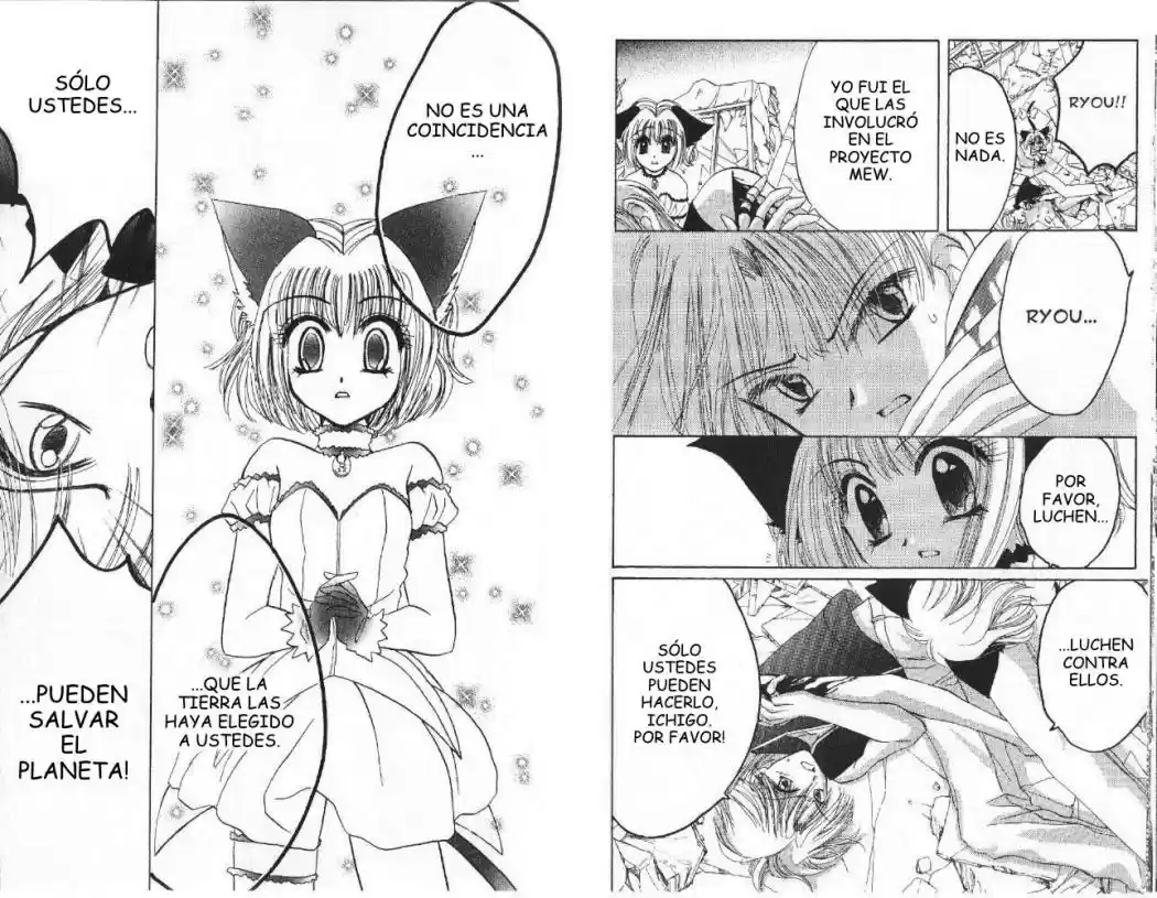 Tokyo Mew Mew (Mew Mew Power) (2000) - Capítulo 29 - Página 22 - LectorTMOo