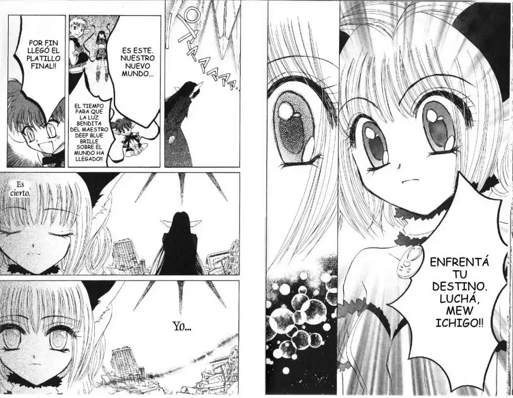 Tokyo Mew Mew (Mew Mew Power) (2000) - Capítulo 29 - Página 23 - LectorTMOo