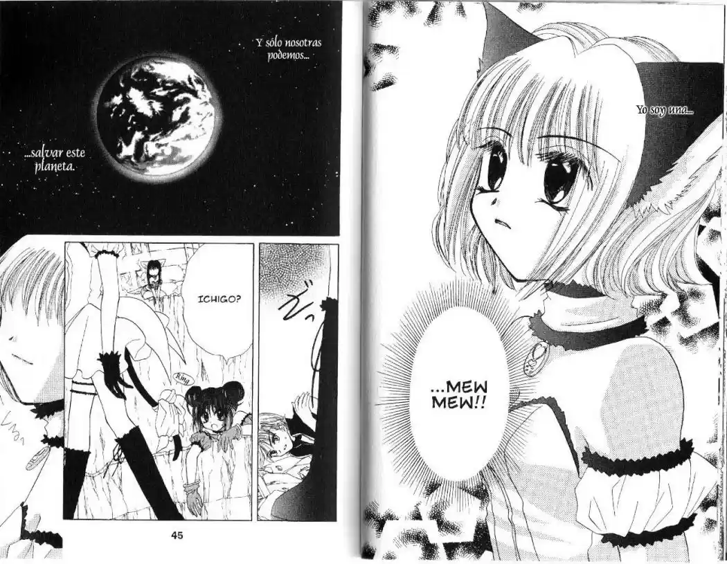 Tokyo Mew Mew (Mew Mew Power) (2000) - Capítulo 29 - Página 24 - LectorTMOo