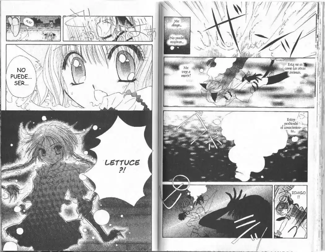Tokyo Mew Mew (Mew Mew Power) (2000) - Capítulo 3 - Página 17 - LectorTMOo