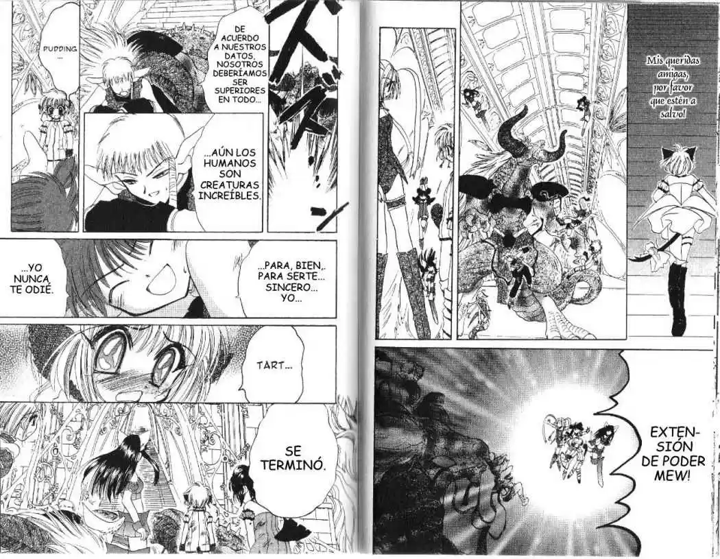 Tokyo Mew Mew (Mew Mew Power) (2000) - Capítulo 30 - Página 9 - LectorTMOo
