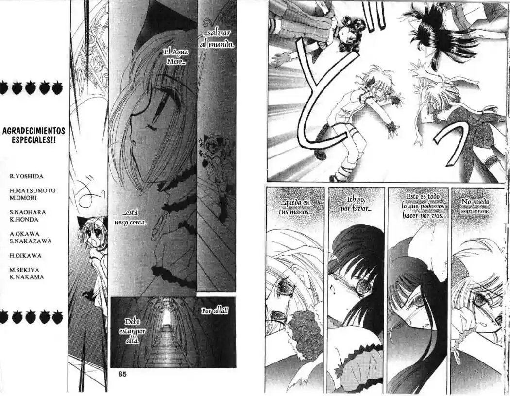 Tokyo Mew Mew (Mew Mew Power) (2000) - Capítulo 30 - Página 10 - LectorTMOo