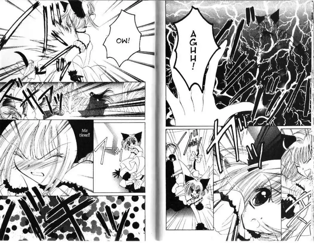 Tokyo Mew Mew (Mew Mew Power) (2000) - Capítulo 30 - Página 12 - LectorTMOo