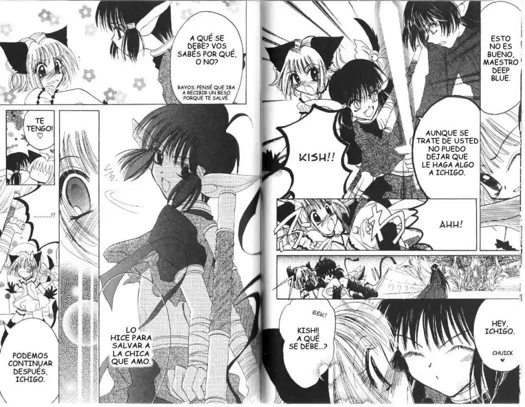 Tokyo Mew Mew (Mew Mew Power) (2000) - Capítulo 30 - Página 13 - LectorTMOo