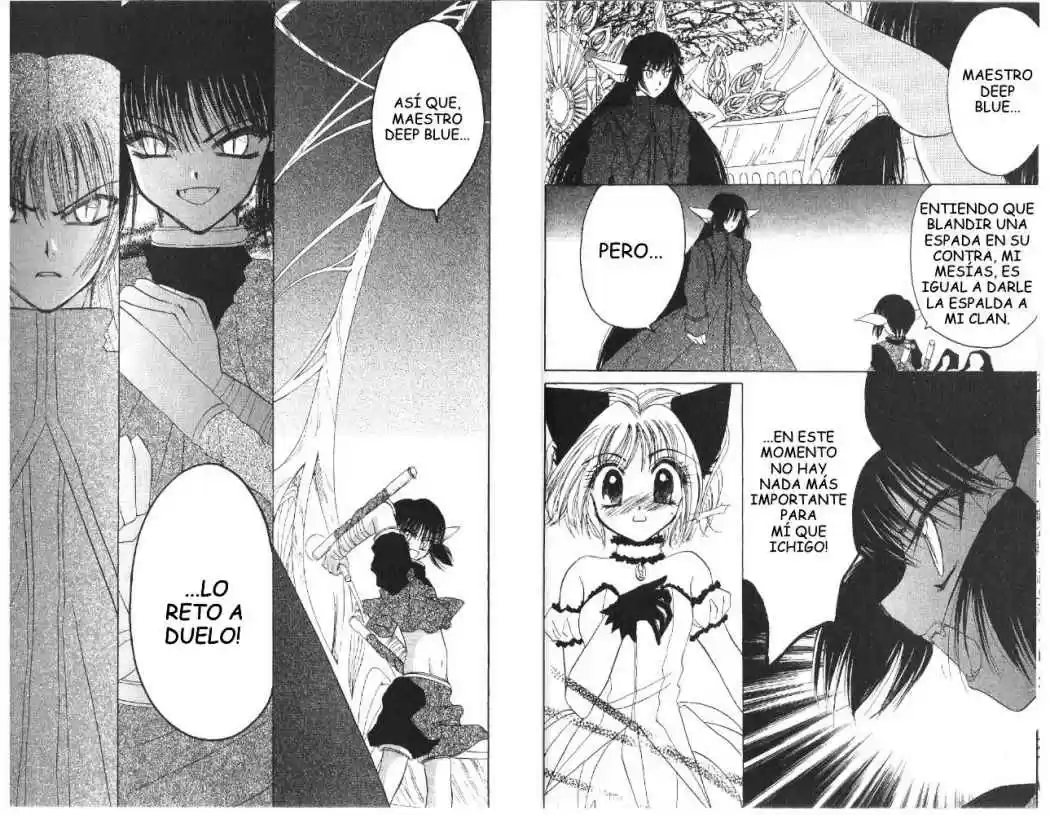 Tokyo Mew Mew (Mew Mew Power) (2000) - Capítulo 30 - Página 14 - LectorTMOo