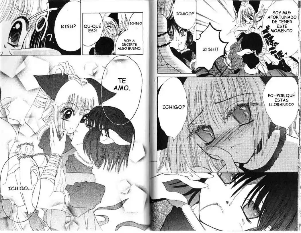 Tokyo Mew Mew (Mew Mew Power) (2000) - Capítulo 30 - Página 18 - LectorTMOo