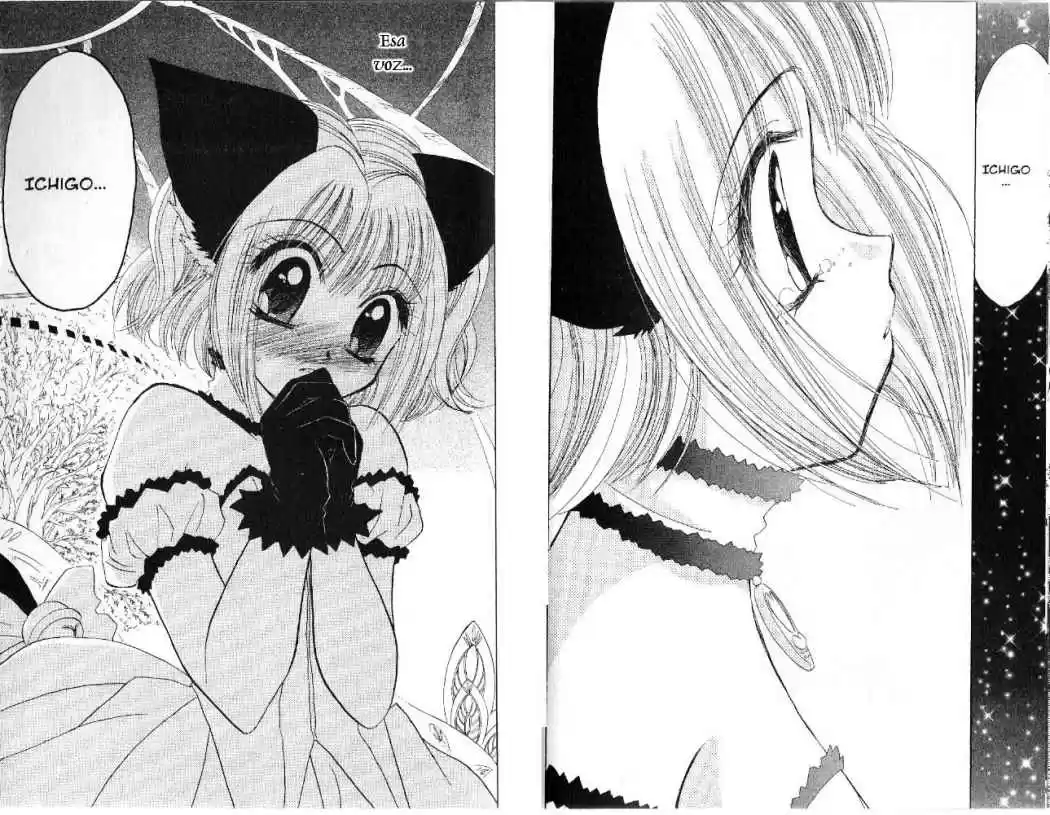 Tokyo Mew Mew (Mew Mew Power) (2000) - Capítulo 30 - Página 20 - LectorTMOo