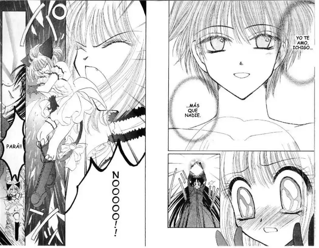 Tokyo Mew Mew (Mew Mew Power) (2000) - Capítulo 31 - Página 12 - LectorTMOo
