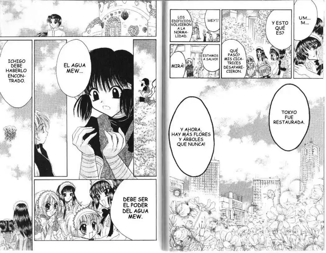 Tokyo Mew Mew (Mew Mew Power) (2000) - Capítulo 31 - Página 15 - LectorTMOo