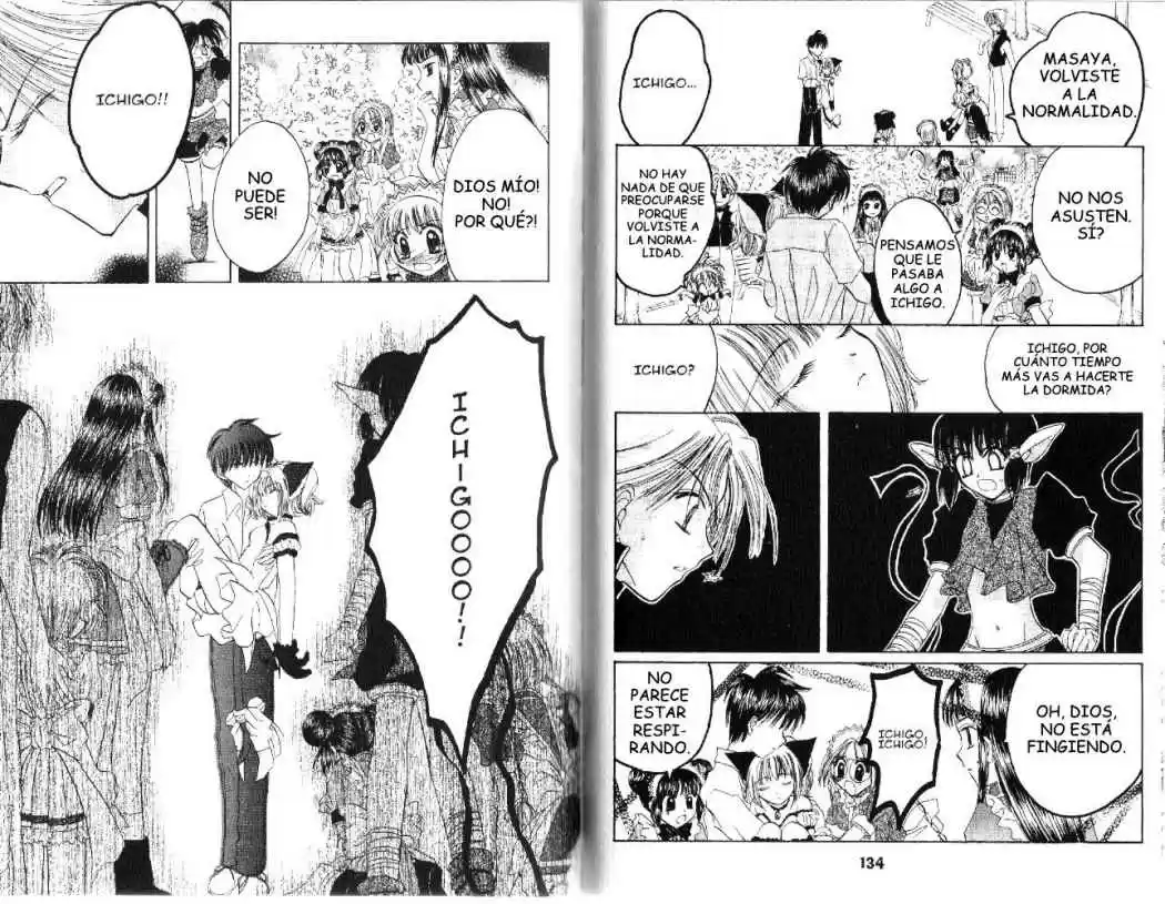 Tokyo Mew Mew (Mew Mew Power) (2000) - Capítulo 32 - Página 7 - LectorTMOo