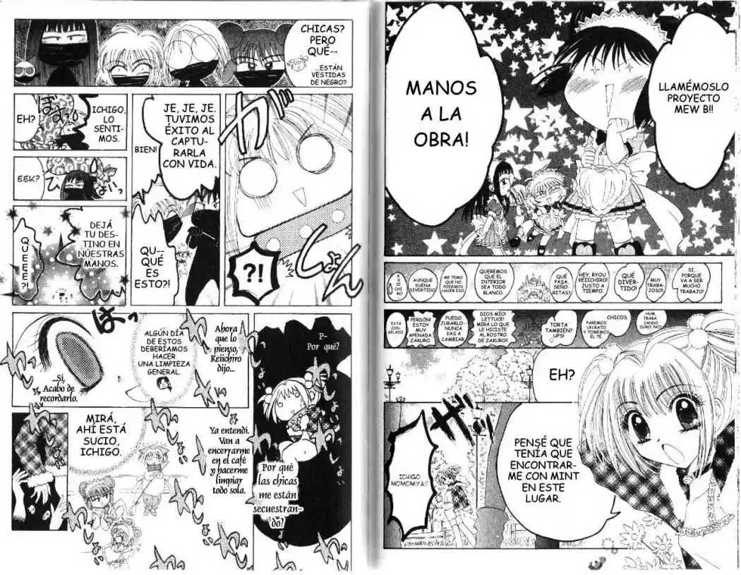 Tokyo Mew Mew (Mew Mew Power) (2000) - Capítulo 32 - Página 18 - LectorTMOo