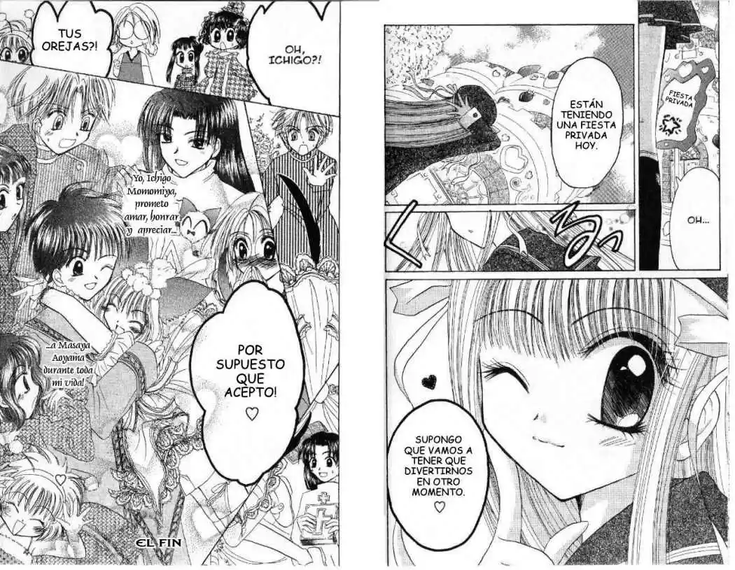 Tokyo Mew Mew (Mew Mew Power) (2000) - Capítulo 32 - Página 21 - LectorTMOo