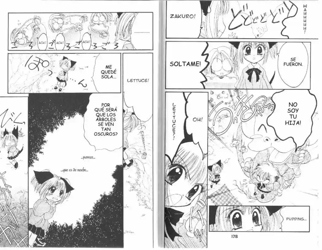 Tokyo Mew Mew (Mew Mew Power) (2000) - Capítulo 33 - Página 9 - LectorTMOo