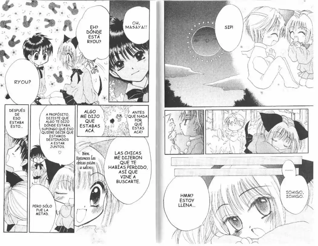 Tokyo Mew Mew (Mew Mew Power) (2000) - Capítulo 33 - Página 15 - LectorTMOo