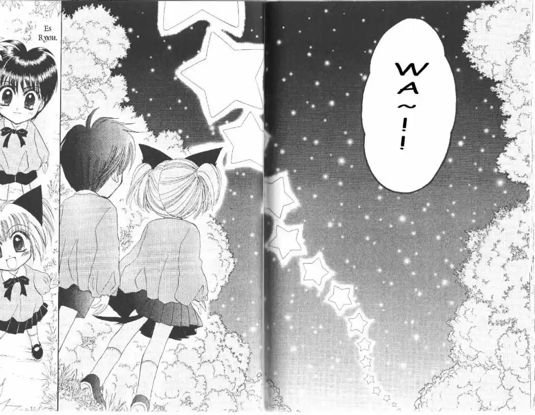Tokyo Mew Mew (Mew Mew Power) (2000) - Capítulo 33 - Página 16 - LectorTMOo
