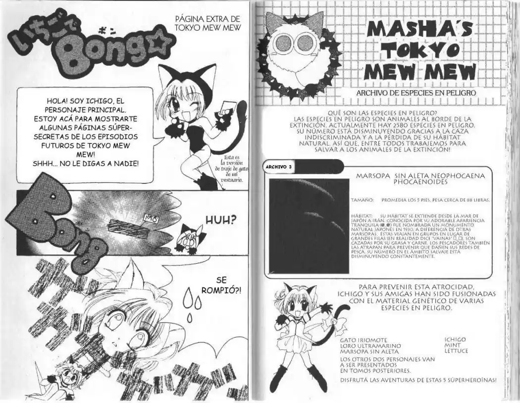 Tokyo Mew Mew (Mew Mew Power) (2000) - Capítulo 4 - Página 17 - LectorTMOo