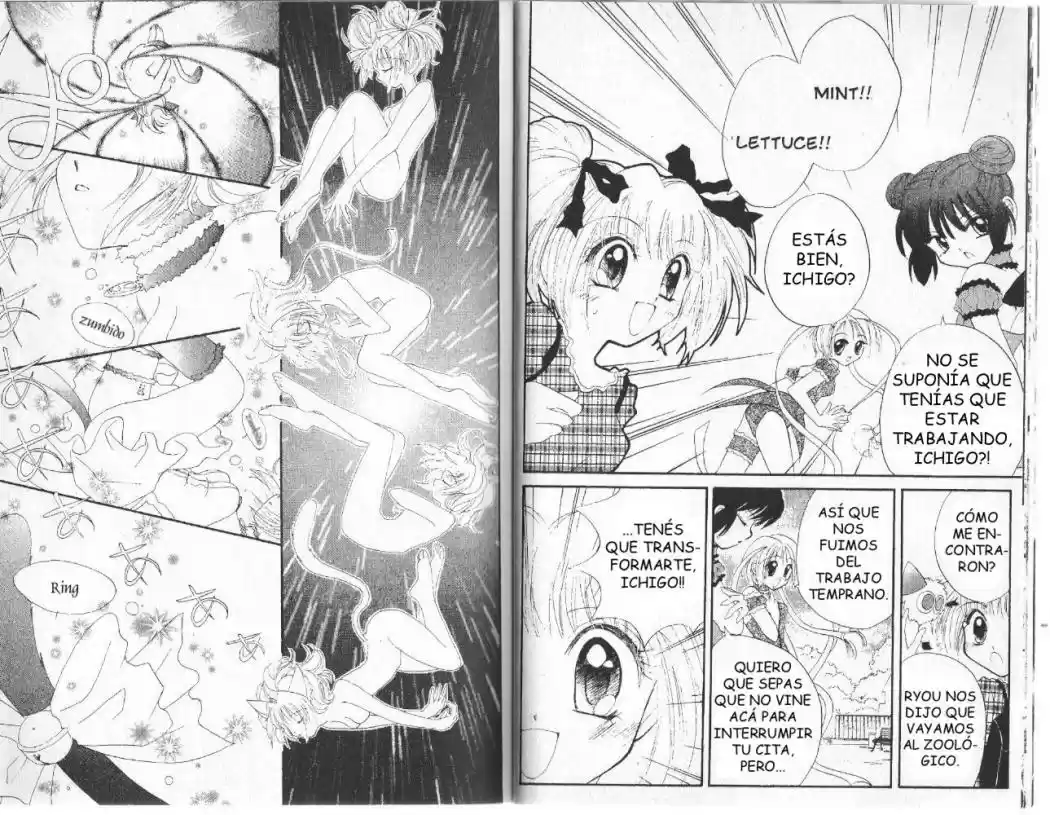 Tokyo Mew Mew (Mew Mew Power) (2000) - Capítulo 5 - Página 10 - LectorTMOo