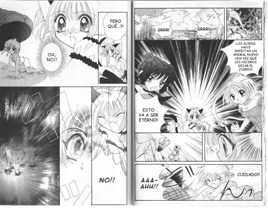 Tokyo Mew Mew (Mew Mew Power) (2000) - Capítulo 5 - Página 13 - LectorTMOo