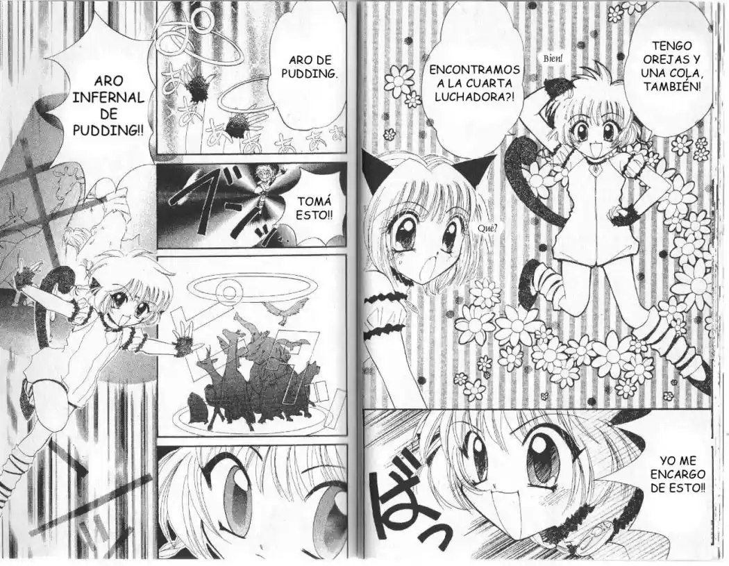 Tokyo Mew Mew (Mew Mew Power) (2000) - Capítulo 5 - Página 14 - LectorTMOo