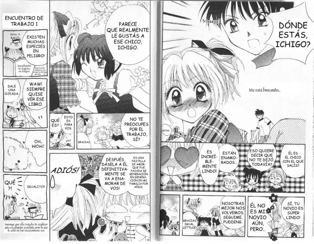 Tokyo Mew Mew (Mew Mew Power) (2000) - Capítulo 5 - Página 17 - LectorTMOo