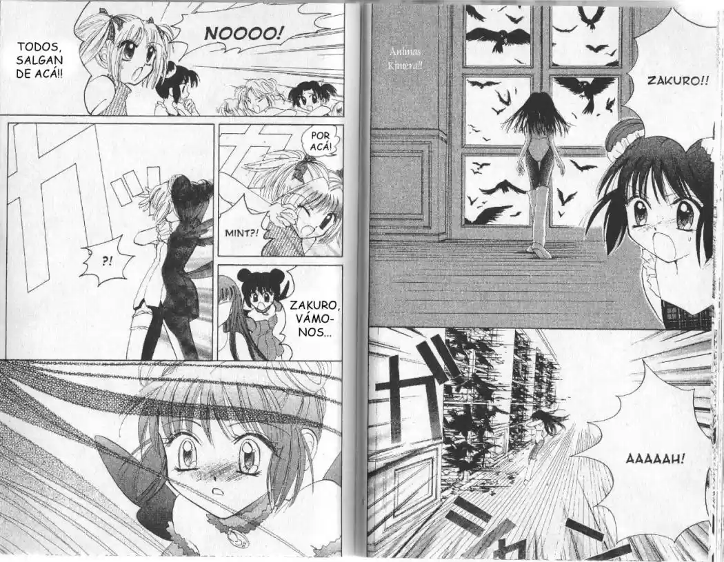 Tokyo Mew Mew (Mew Mew Power) (2000) - Capítulo 6 - Página 13 - LectorTMOo
